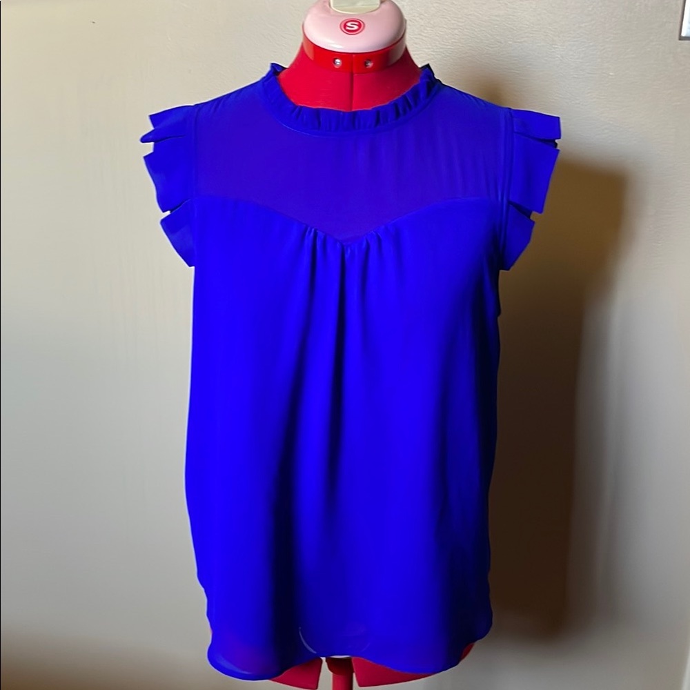 Bright royal blue top with pleated sleeve detail and ruffled neck
